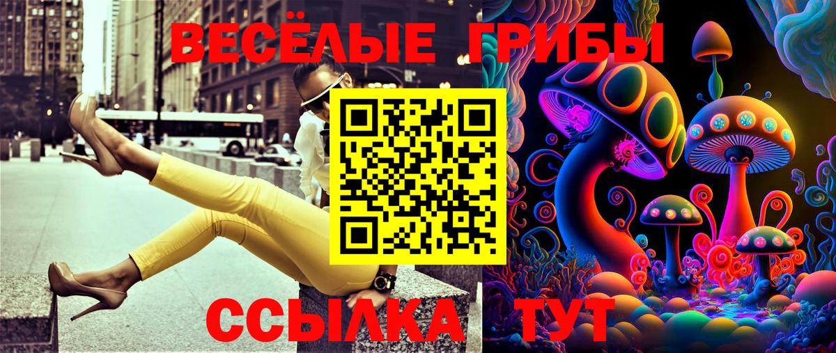где купить наркотик  Галлюциногенные грибы мицелий  Вход с VPN  Лыткарино 