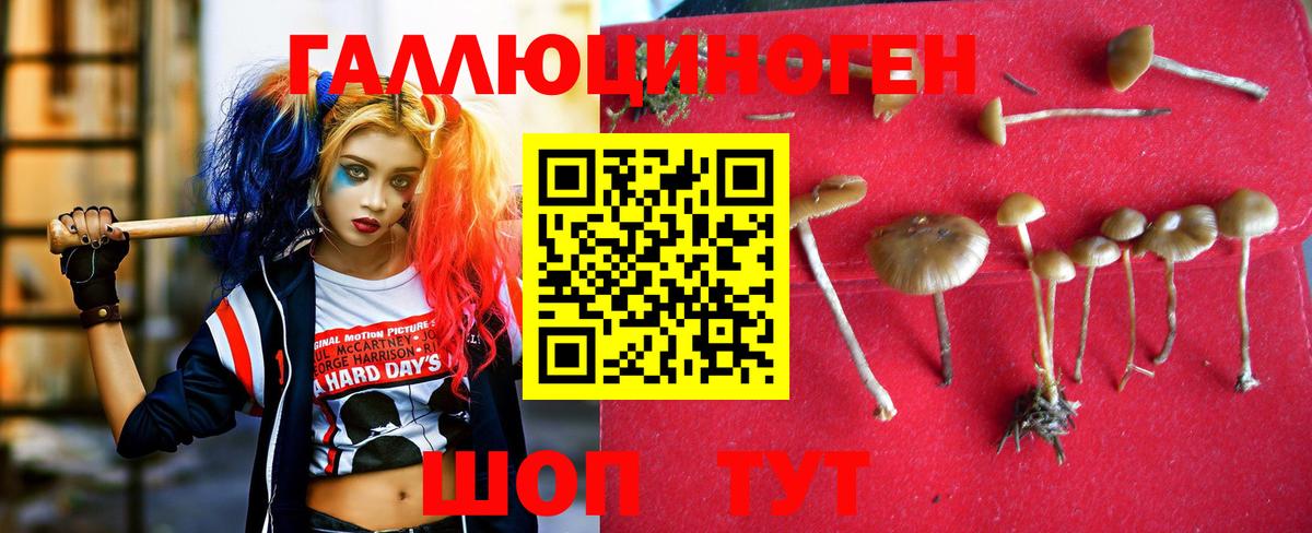 Псилоцибиновые грибы ЛСД Лыткарино